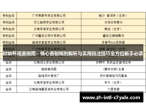 欧联杯观赛指南：核心赛制规则解析与实用投注技巧全方位新手必读