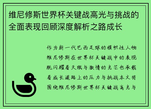 维尼修斯世界杯关键战高光与挑战的全面表现回顾深度解析之路成长
